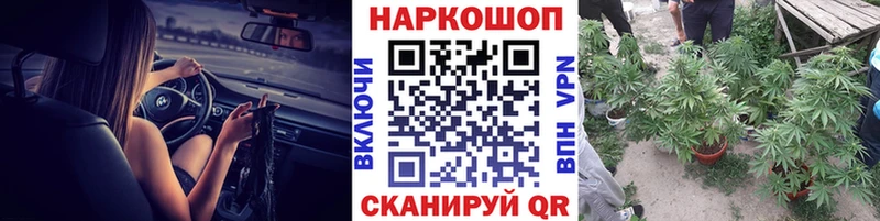Где найти наркотики Нововоронеж мега вход  A-PVP  Меф мяу мяу  Марихуана  АМФЕТАМИН  Галлюциногенные грибы 