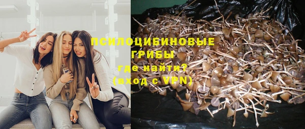 ПСИЛОЦИБИНОВЫЕ ГРИБЫ Алексеевка